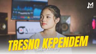 Download lagu Tresno Kependem - Ardia Diwang mp3