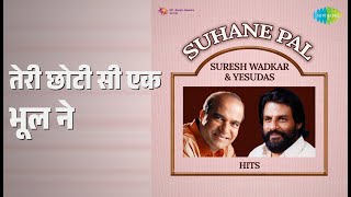 Download lagu तेरी छोटी सी एक भूल ने | Suhane Pal - Suresh Wadkar & Yesudas Hits | Sunny Nair Songs | mp3