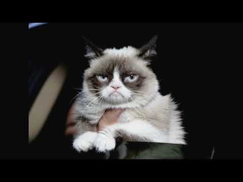 To Asgaard We Fly (NO version)