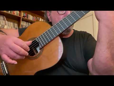 Burgalesa by F.M.Torroba