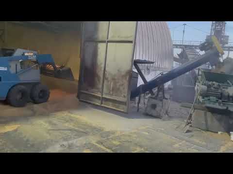 Перевалка зерна зі складу на судно: Робота на терміналі GTK