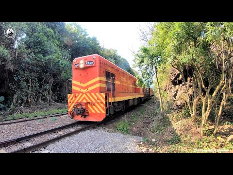 🇧🇷 Trem da ABPF/Sul no pátio / ABPF/Sul train in the yard - Colinas/RS - 2020 - (Brasil)