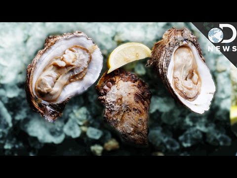 There's Only One Aphrodisiac According To Science