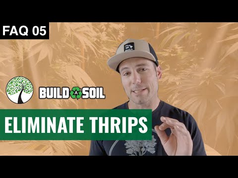 BuildASoil: I HAVE THRIPS WHAT DO I DO? // HOW TO GET RID OF THRIP (Season 6, FAQ 05)