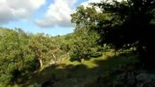 preview picture of video 'Piara de cabras por Segura de Toro, Valle Ambroz'