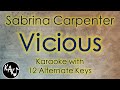 Vicious Karaoke - Sabrina Carpenter Instrumental Lower Higher Male Original Key