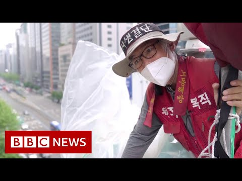 空に生きる韓国サムスンの抗議者 - BBCニュース (The South Korean Samsung protester living in the sky - BBC News)