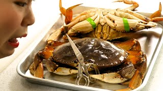 나나나나 미쿡에서 왔-써 video