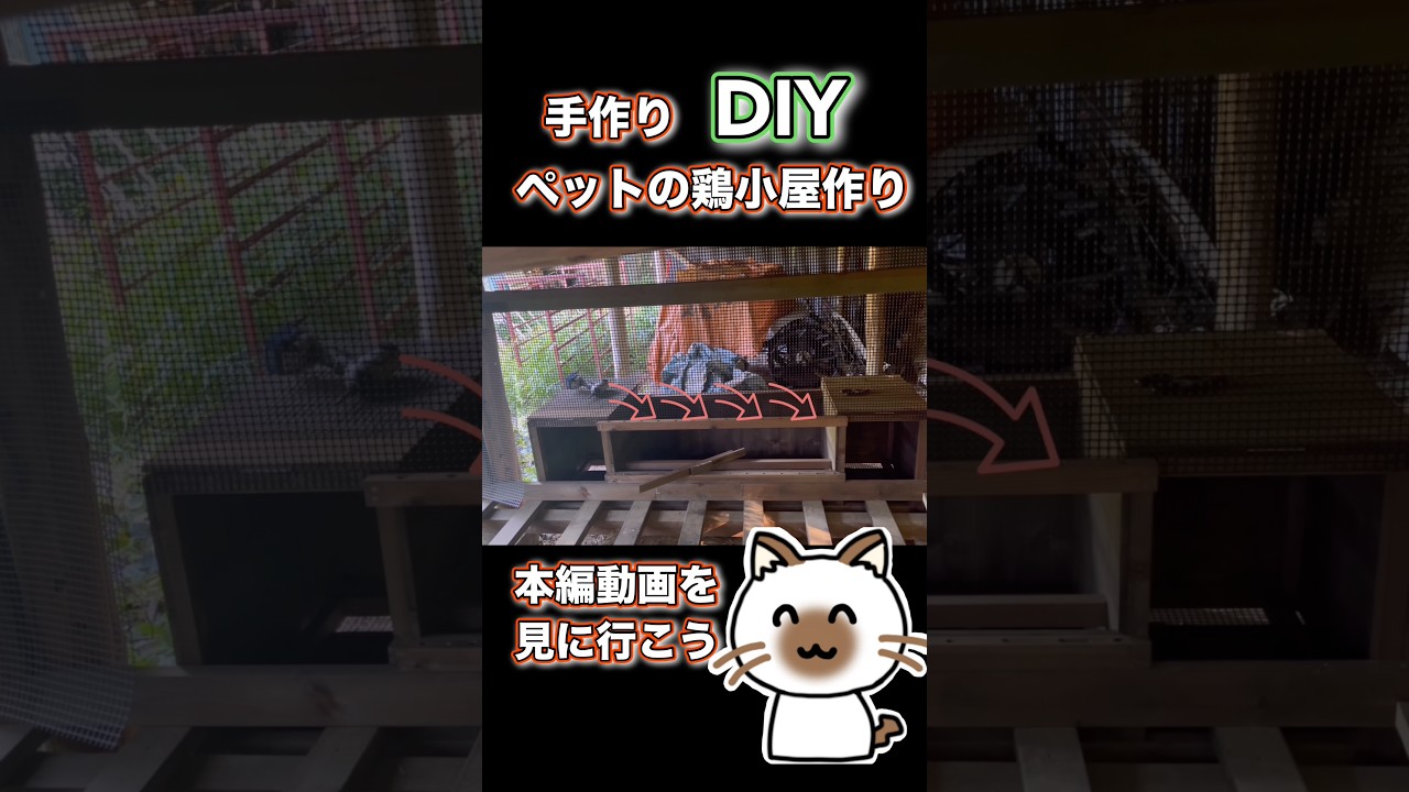 ペットの鶏小屋DIY