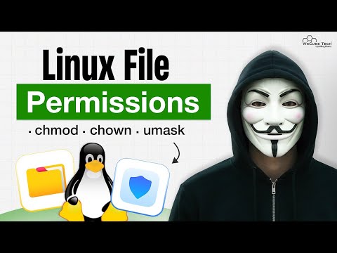 What is Linux Kernel OS Terminal for Beginners