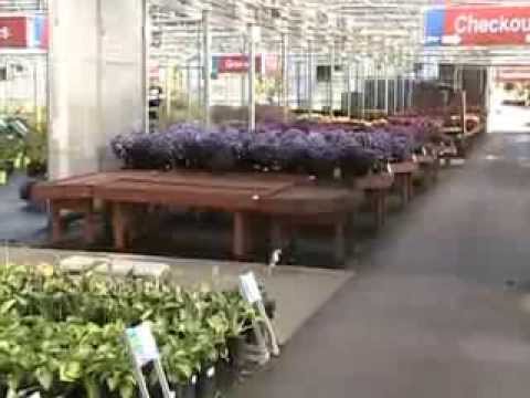 Fall Plants for the Garden!