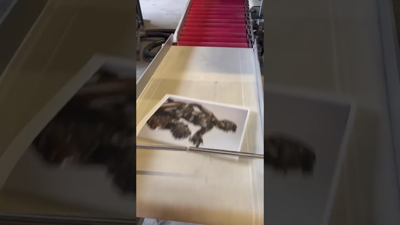 ACS_Eurotecnica EB 1200, Year 2008