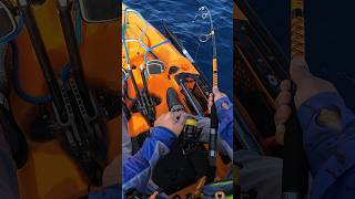 Download lagu COME ON BABY!! #fyp #fishing #kayakfishing #saltwaterfishing mp3