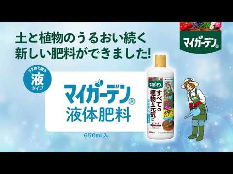 自家製天然肥料バナナの皮ミネラル微量元素