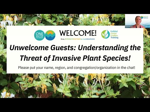 Unwelcome Guests: Understanding the Threat of Invasive Plant Species Learning Lab