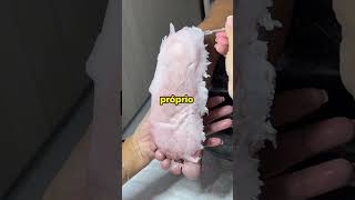 Fatos Curiosos 😰 #fatoscuriosos #curiosidades #conhecimento #viral #fyp