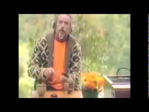 Alan Watts - Conversation With Myself (World of Nature vs Man)