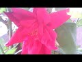 YESHU DAYASAGAR Jesus Old Hindi Song