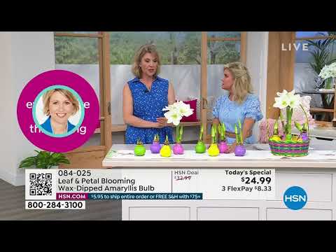 HSN | Spring Home Essentials featuring Easter Decor 02.24.2023 - 02 PM