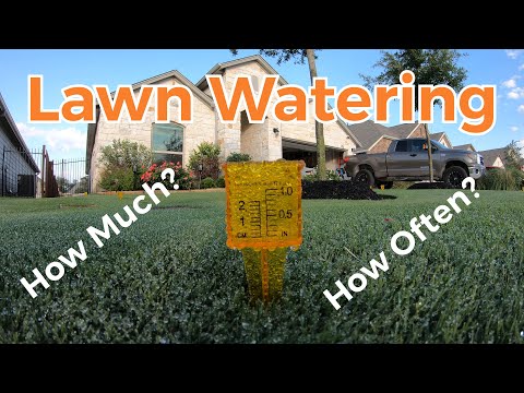 Best Lawn Watering Schedule &amp; Lawn Watering Tips
