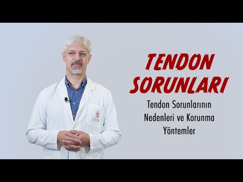 Tendon Yaralanmaları ve Tedavisi