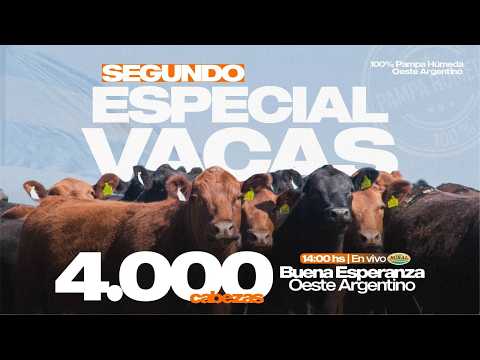 🔴EN VIVO | 2° Rte ESPECIAL VACAS, desde Buena Esperanza, San Luis| Alfredo S.Mondino, 2-6-26🔴