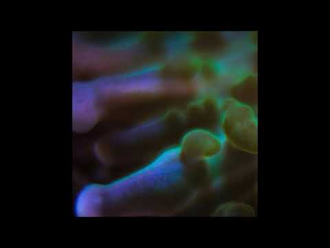 108. Arthrn - Softless [23.03.2020]