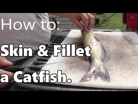 Tutorial: How to Skin and Fillet a Catfish.