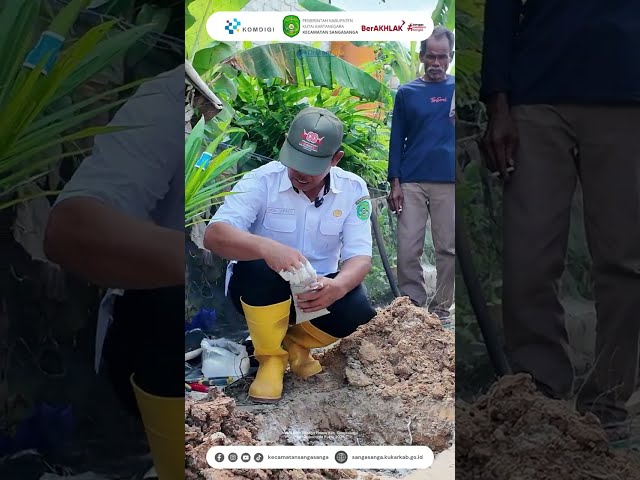 Teknik Tepat Menanam Bibit Sawit & Pemupukan Efisien