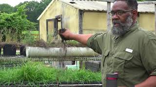 Hebrew Israelites - Feed Yourselves! (Lesson #2)