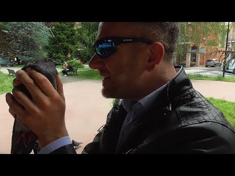 OPERA FUNEBRE MATTEO MONTESI