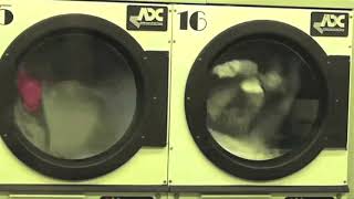 Night, North Street, Launderette