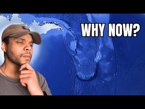 The Beast of Chaos: Why Leviathan Returns?