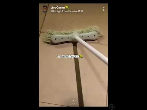 GUY HITS SPIDER WITH BROOM AND 1000 BABY SPIDERS COME OUT
