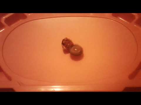 Beyblade Burst Battle Zilion Zeus Fake td  Vs Spryzen s2