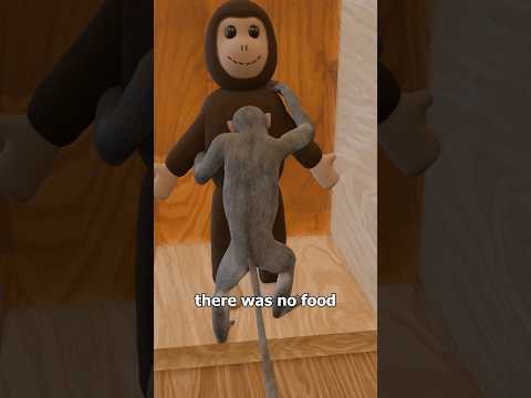 The Harlow's Monkey Experiment 🐒