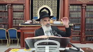 הרב יובל אברהמי שליט"א   |  טלטול ארבעת המינים בשבת. 
