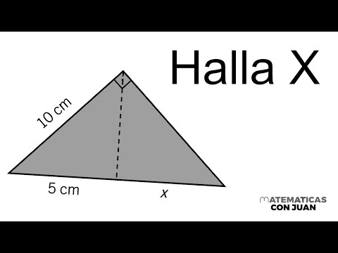 ¿SABES HALLAR EL VALOR DEL SEGMENTO DESCONOCIDO? Geometría Básica