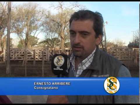 ERNESTO ARRIBERE - 07/05/2013 - Arribere, Ugarte y Cía. S.R.L. - Rauch