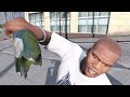 GTA 5 Deaths From An NPC S Perspective 11
