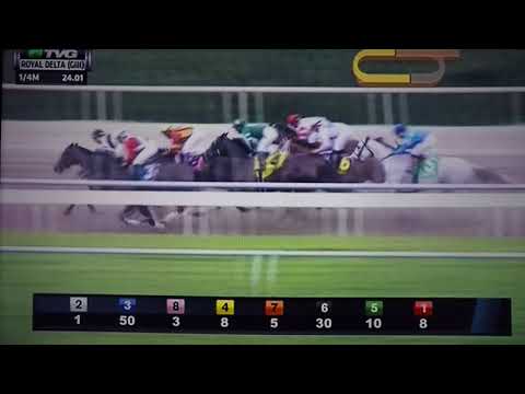 ROYAL DELTA (G 3) STAKES 2/19/18 - MARTINI GLASS !!