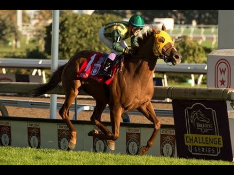 Woodbine Mile (G1) 2021