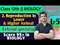 L-5 | 2. Reproduction in Lower and Higher Animal Class 12 Biology External genitalia #biology