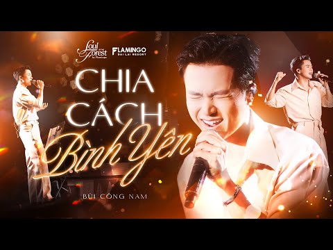 Chia Cách Bình Yên - Bùi Công Nam | Live at Soul Of The Forest