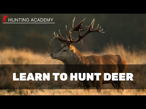 How To Start Deer Stalking | Deer Stalking Certificate