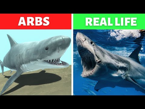AQUATICS UNITS vs REAL LIFE - ARBS vs REAL LIFE - Animal Revolt Battle Simulator