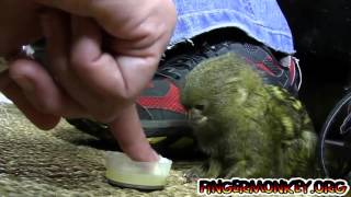 유튜브 테스트영상