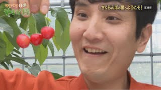 さくらんぼの里へようこそ！～東根市～【ワクワク！やまが旅】