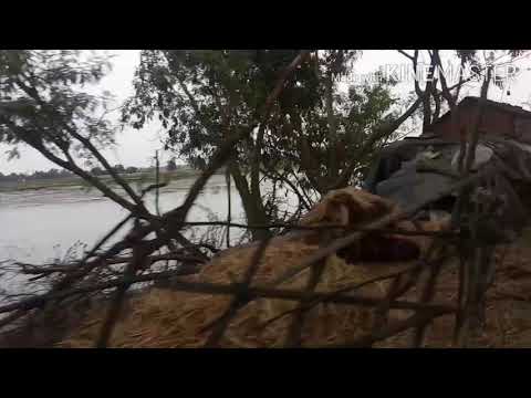 Sundarban Najat tour 😍😍😍