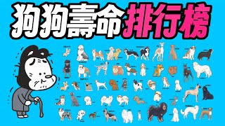 Re: [討論] 這屆藍白立委怎麼蠢得如此可怕？